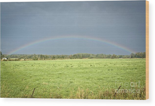 Rainbow Wood Print featuring the photograph Arc-En-Ciel by Cheryl Baxter