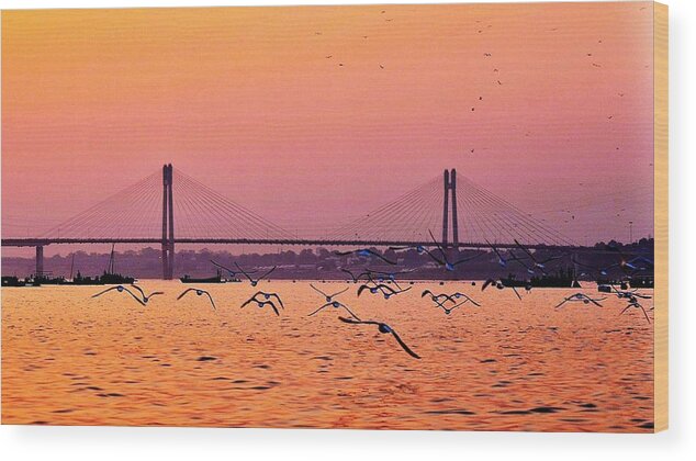 Nature Wood Print featuring the photograph Arctic Terns at Sunset on the Ganges - Allahabad India by Kim Bemis