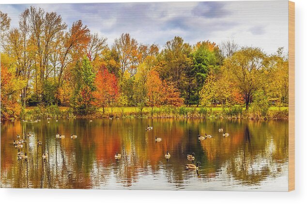 Fall Wood Print featuring the photograph Autumn Glow by Charles Aitken