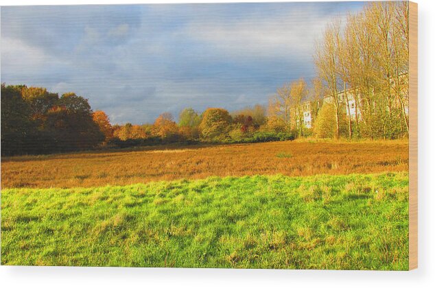 Mitcham Common Wood Print featuring the photograph Autumnal Blaze 01 - Mitcham Common London by Mudiama Kammoh