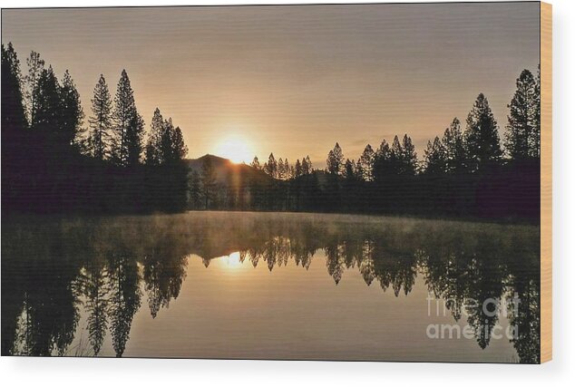 Landscape Wood Print featuring the photograph Black Lace Sunrise by Julia Hassett