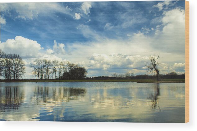 Nature Wood Print featuring the photograph Blues at Busch Sunset by Bill and Linda Tiepelman