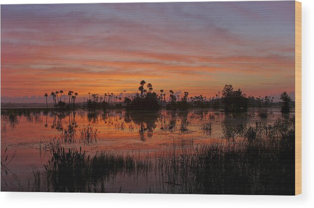 Orlando Wood Print featuring the photograph Breathtaking Florida by Brian Kamprath