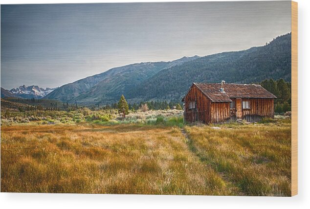 Mountains Wood Print featuring the photograph Bridgeport Shack by Cat Connor