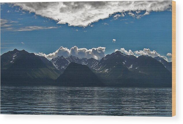 Alaska Glacier Wood Print featuring the photograph Bright and Cloudy by Aimee L Maher ALM GALLERY