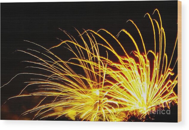 Fireworks Wood Print featuring the photograph Bright Lights for the New Year by Brigitte Emme