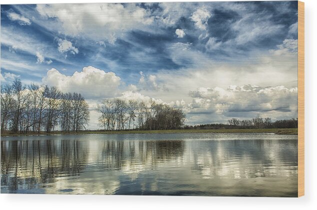 Nature Wood Print featuring the photograph Busch Bare Reflections by Bill and Linda Tiepelman