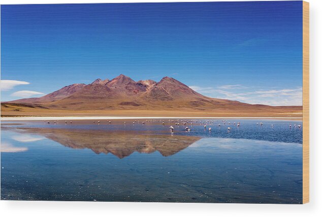 Tranquility Wood Print featuring the photograph Canapa Lagoon In Salar De Uyuni by Graham Lucas Commons