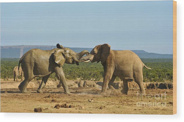 Elephant Wood Print featuring the photograph Charge by Jennifer Ludlum