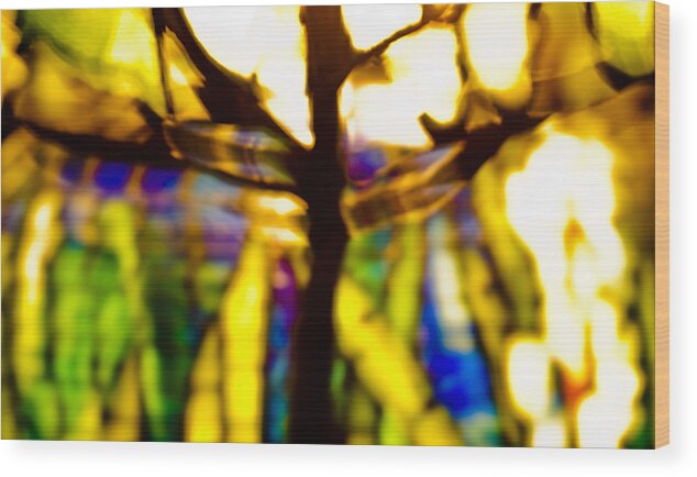 Abstract Wood Print featuring the photograph Color Aflame by Christi Kraft