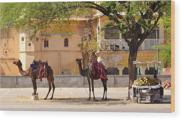 Camel Wood Print featuring the photograph Colorful Camels - Jaipur India by Kim Bemis