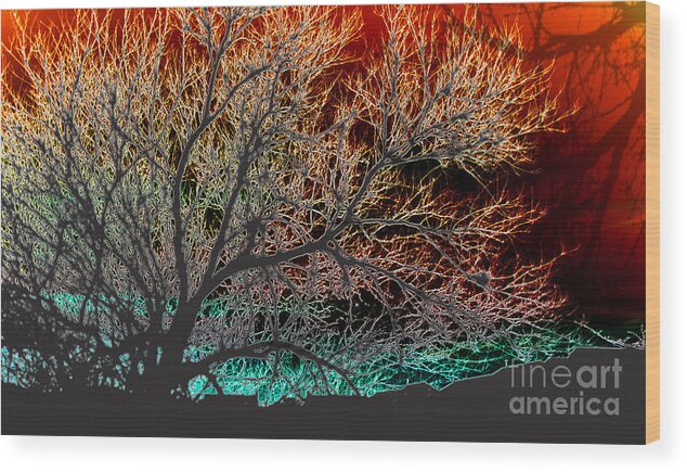 Sunset Wood Print featuring the photograph Compalation Invertion by JamieLynn Warber