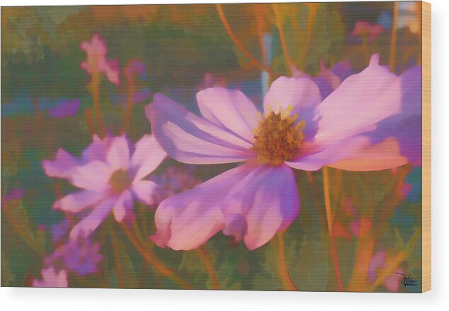 Flower Wood Print featuring the painting Cosmos Twilight by Douglas MooreZart