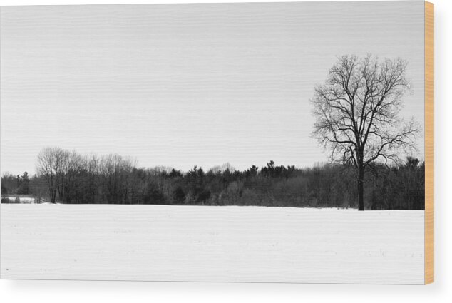 Winter Wood Print featuring the photograph Dead of Winter by Mary Bedy