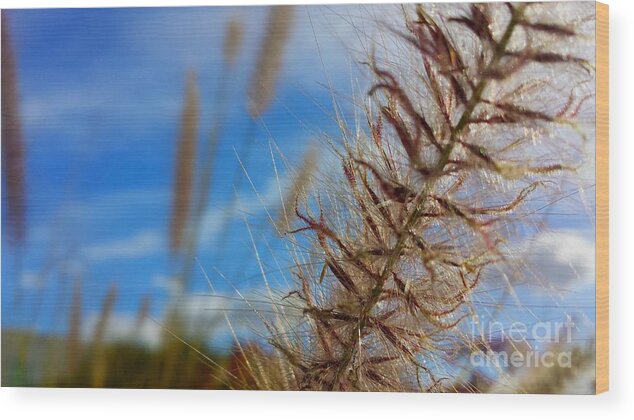 Art Wood Print featuring the photograph Desert Foliage by Chris Tarpening