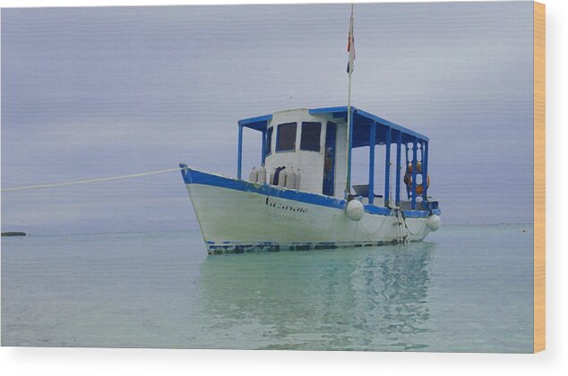 Boat Wood Print featuring the photograph Dive boat by Jerry Hart