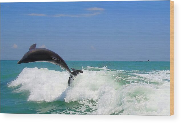 Dolphin Wood Print featuring the digital art Dolphin Flip 2 by Kara Stewart