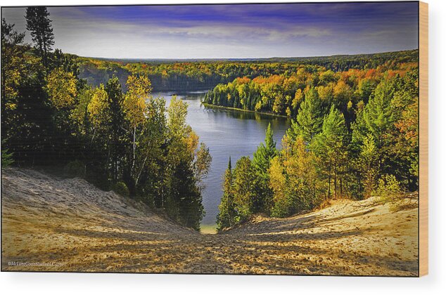 Usa Wood Print featuring the photograph Down hill into fall by LeeAnn McLaneGoetz McLaneGoetzStudioLLCcom