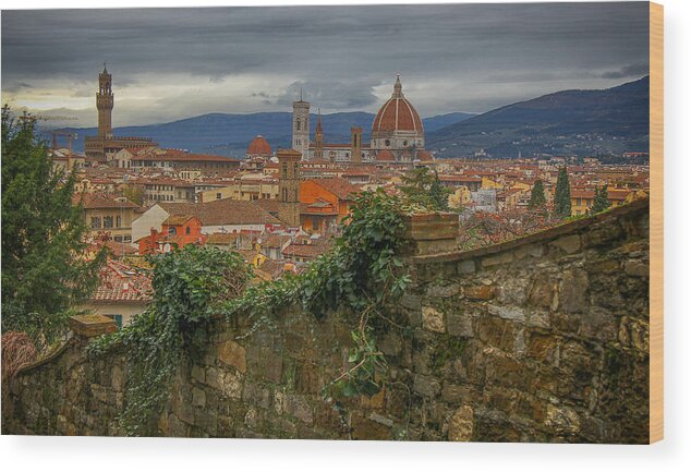 Italy Wood Print featuring the photograph Duomo View by Ryan Moyer