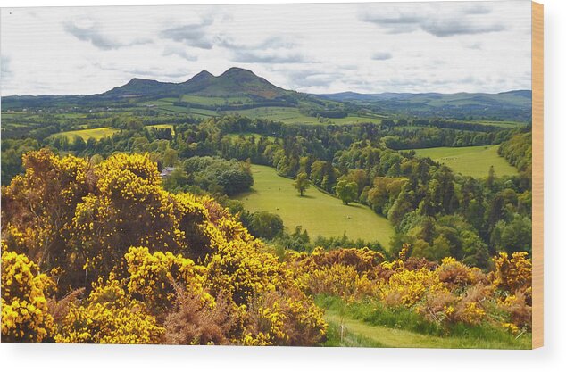 Eildon Hill Wood Print featuring the photograph Eildon Hill - three peaks and a valley by Elena Perelman