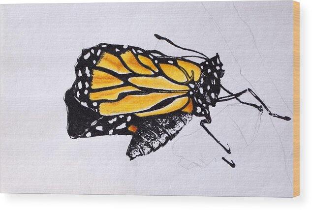 Butterflys Wood Print featuring the drawing Emergance by Wade Clark