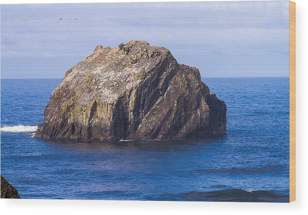 Bandon Wood Print featuring the tapestry - textile Face Rock by Dennis Bucklin