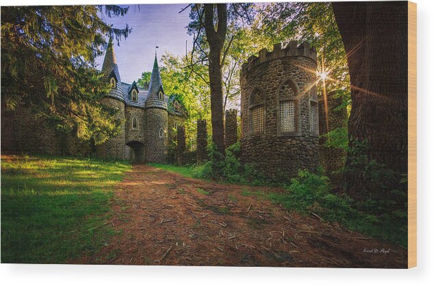 Fairy Wood Print featuring the photograph Fairy Tale Castle by Everet Regal