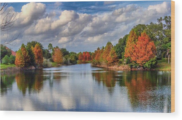 Landscape Wood Print featuring the photograph Fall in Florida by Dennis Dugan