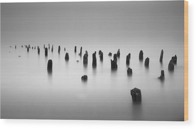 Pilings Wood Print featuring the photograph Far and Away by Josh Eral