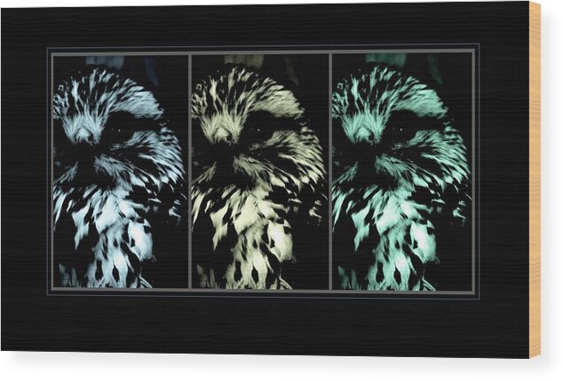 Owls In A Row Prints Wood Print featuring the photograph Feathered by Steve Godleski
