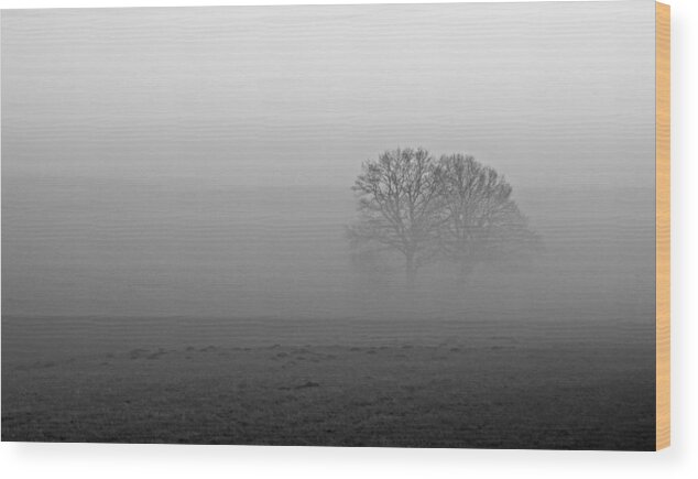 Fog Wood Print featuring the photograph Finding our Way by Miguel Winterpacht