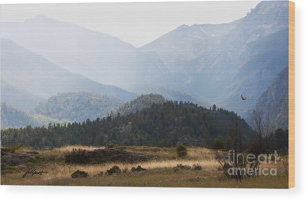 Mountains Wood Print featuring the photograph Flying Home by Bon and Jim Fillpot