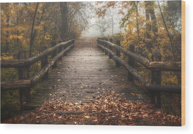 Bridge Wood Print featuring the photograph Foggy Lake Park Footbridge by Scott Norris