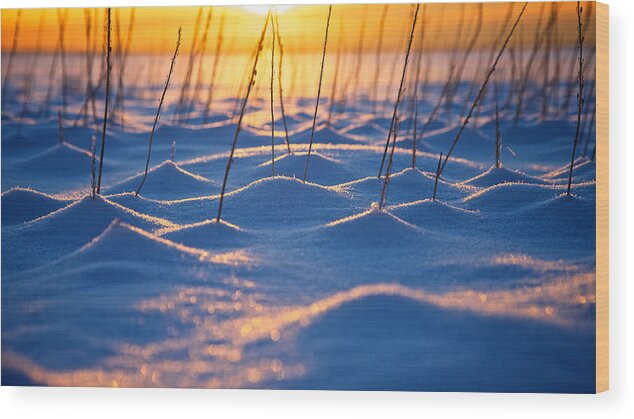 Abstract Wood Print featuring the photograph Frozen Wonderland by Scott Slone