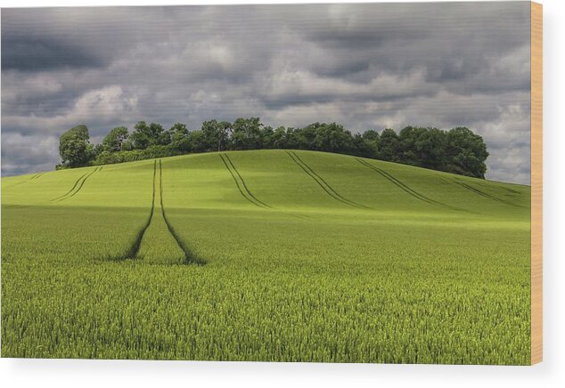 Tranquility Wood Print featuring the photograph Furrows by Always Looking For A Good Angle!