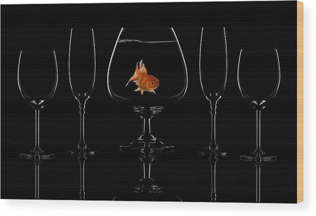 Glass Wood Print featuring the photograph Glass Fish by Saleh Swid