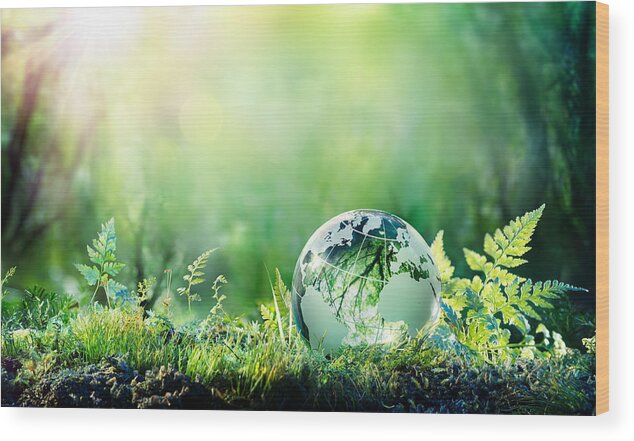 Environmental Conservation Wood Print featuring the photograph Globe On Moss In Forest - Environment Concept by RomoloTavani