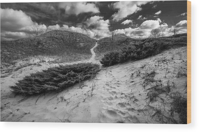 Landscape Wood Print featuring the photograph Go Between by Josh Eral