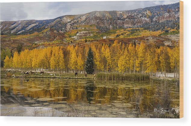 Golden Wood Print featuring the photograph Golden Pond by David Soldano