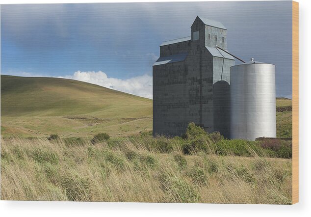 Landscapes Wood Print featuring the photograph Grain Elevator by Mary Lee Dereske