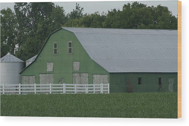 Barn Wood Print featuring the photograph Kentucky Green Barn by Valerie Collins