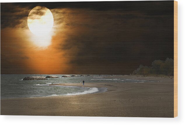 Harvest Moon Photographs Wood Print featuring the photograph Harvest moon on the Beach by Randall Branham