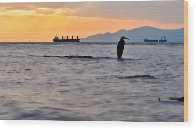 Animal Wood Print featuring the photograph Heron Fishing by James Wheeler