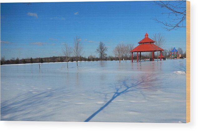 Deep Wood Print featuring the photograph Ice on Snow by Susan Wyman