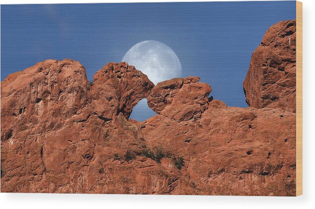 Kissing Camels Wood Print featuring the photograph Kissing Camels and The Moon by David Soldano