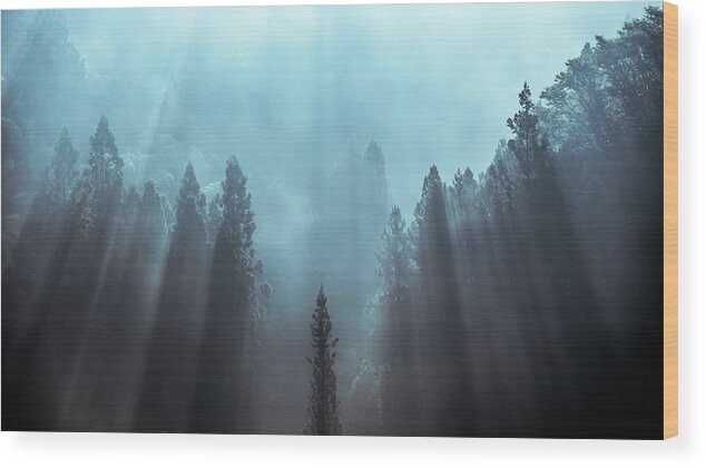 Woods Wood Print featuring the photograph Light To Be Believed Likely by Tsuneya Fujii