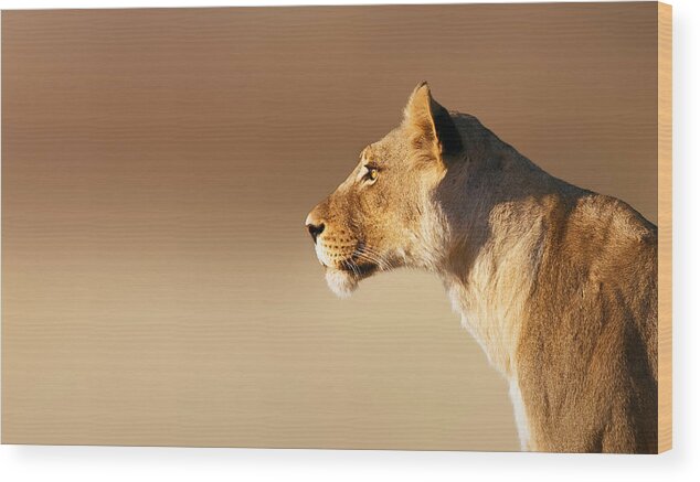 Lion Wood Print featuring the photograph Lioness portrait by Johan Swanepoel