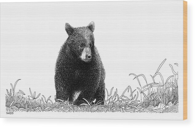 Pen Wood Print featuring the drawing Little Bear by Scott Woyak