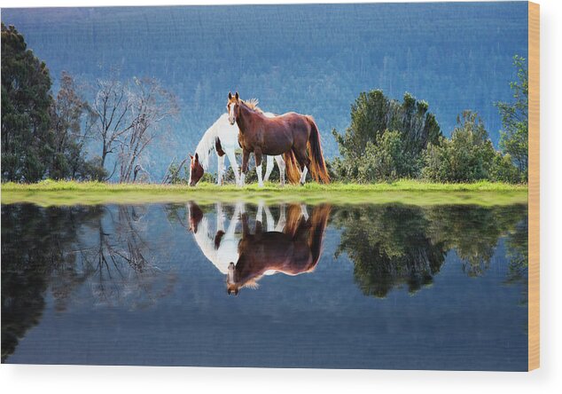 Horse Wood Print featuring the photograph Love - Reflection by Atomiczen