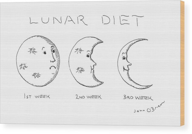 Lunar Diet
(shows The Moon Going From Full Wood Print featuring the drawing Lunar Diet by John O'Brien